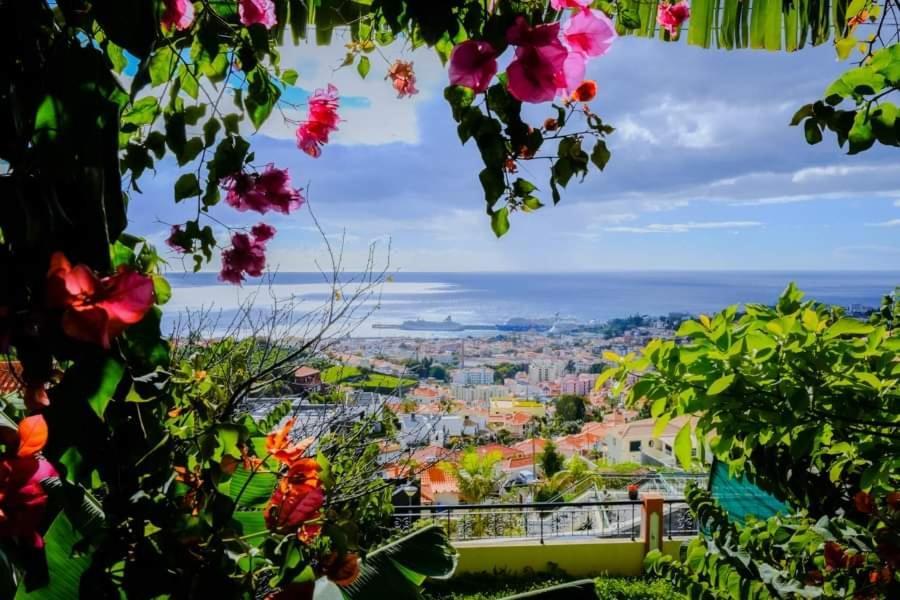 Villa Granny'S House View à Funchal  Extérieur photo