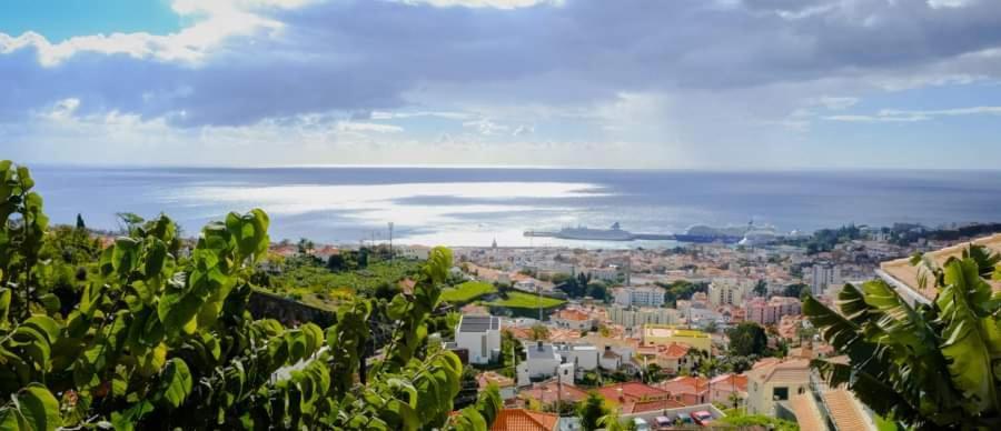 Villa Granny'S House View à Funchal  Extérieur photo
